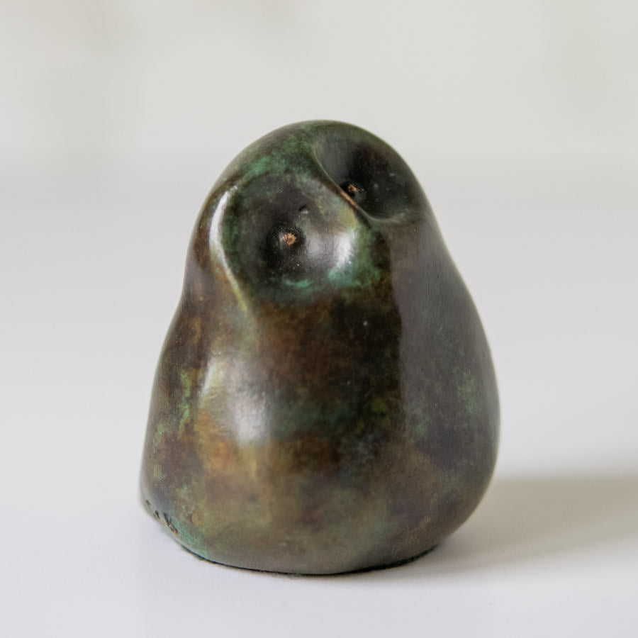 Foundry cast bronze little owl - sarahbrabbin