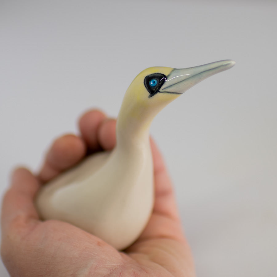 Ceramic Gannet Lovers Sculpture - sarahbrabbin