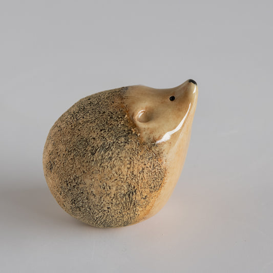 Ceramic Hedgehog Sculpture - sarahbrabbin
