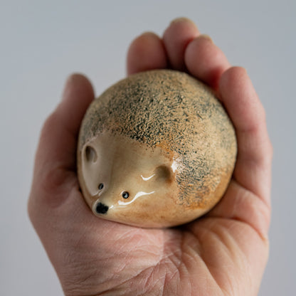 Ceramic Hedgehog Sculpture - sarahbrabbin