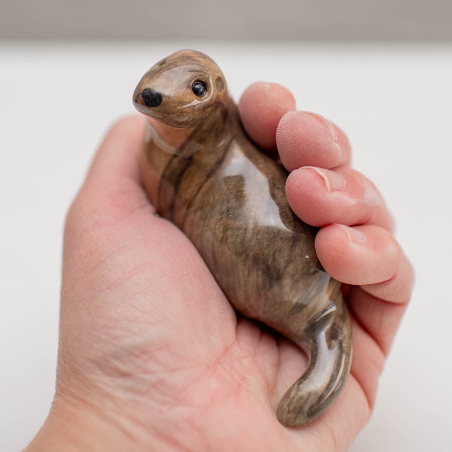Curious Otter - sarahbrabbin