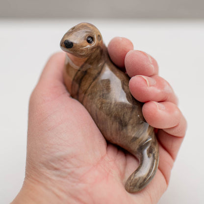 Curious Otter - sarahbrabbin
