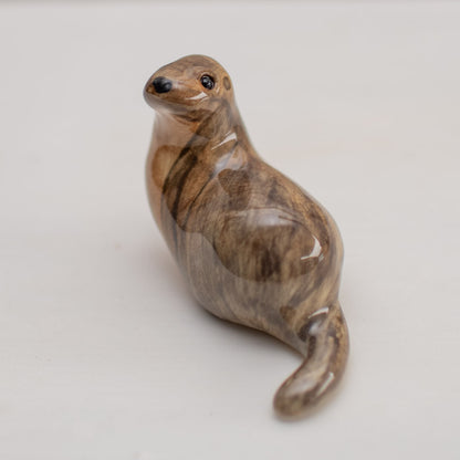 Curious Otter - sarahbrabbin