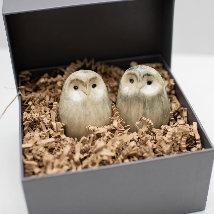 Ceramic Woody Owls Gift Set - sarahbrabbin