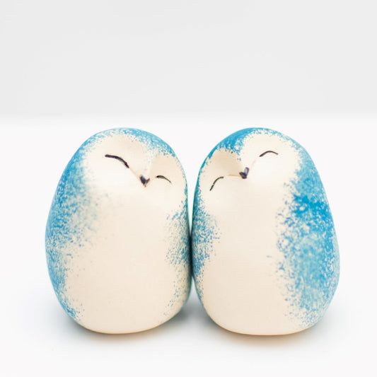 Ceramic Happy Owls Gift Set - sarahbrabbin