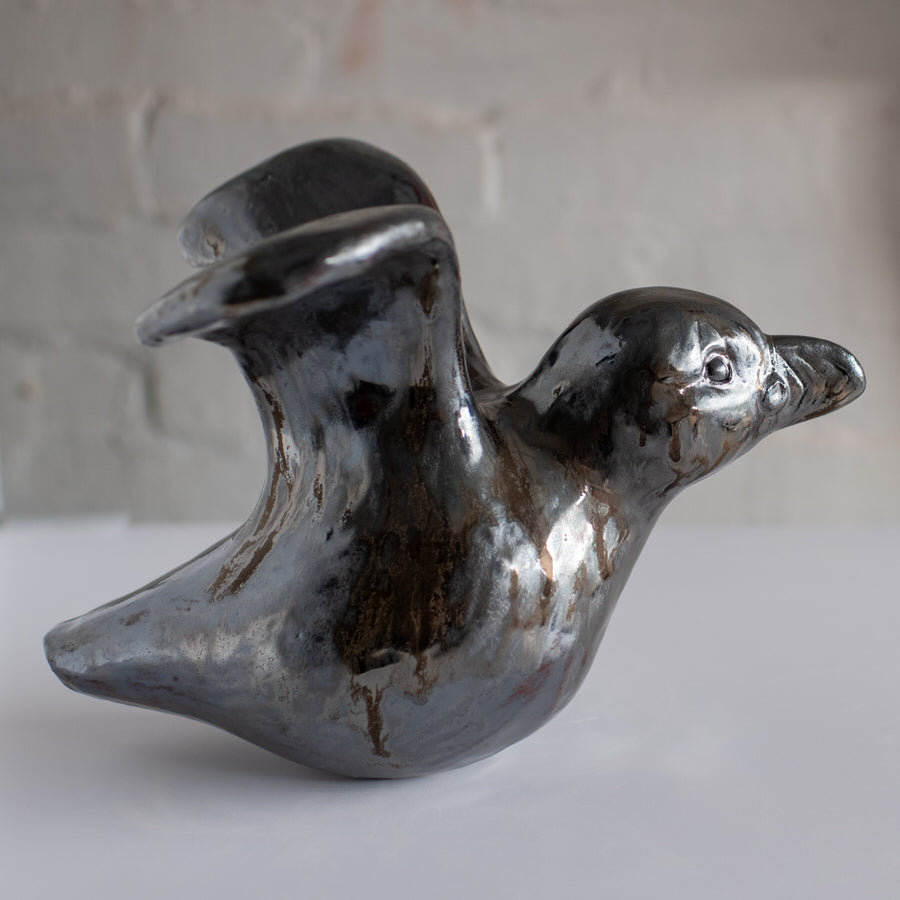 Can puffins fly? - sarahbrabbin