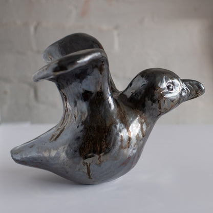 Can puffins fly? - sarahbrabbin