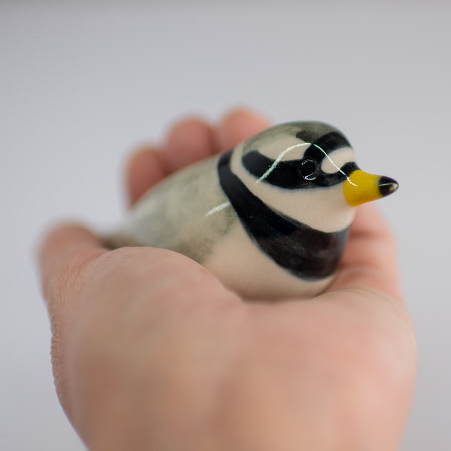 Ceramic Ringed Plover - sarahbrabbin