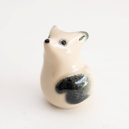 Stargazing Arctic fox