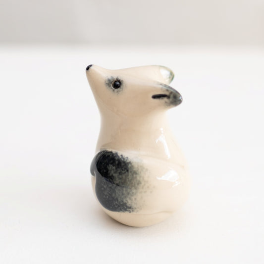 Stargazing Arctic fox