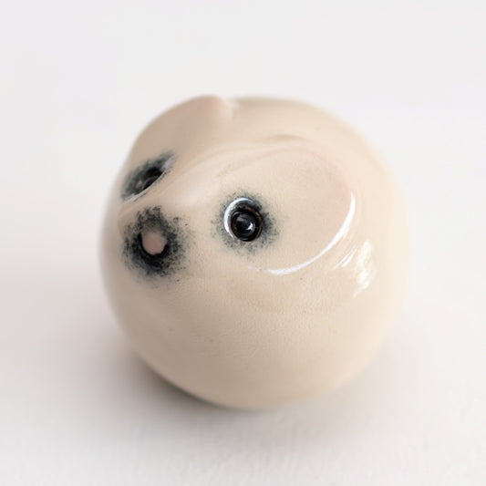 Snowball Vole