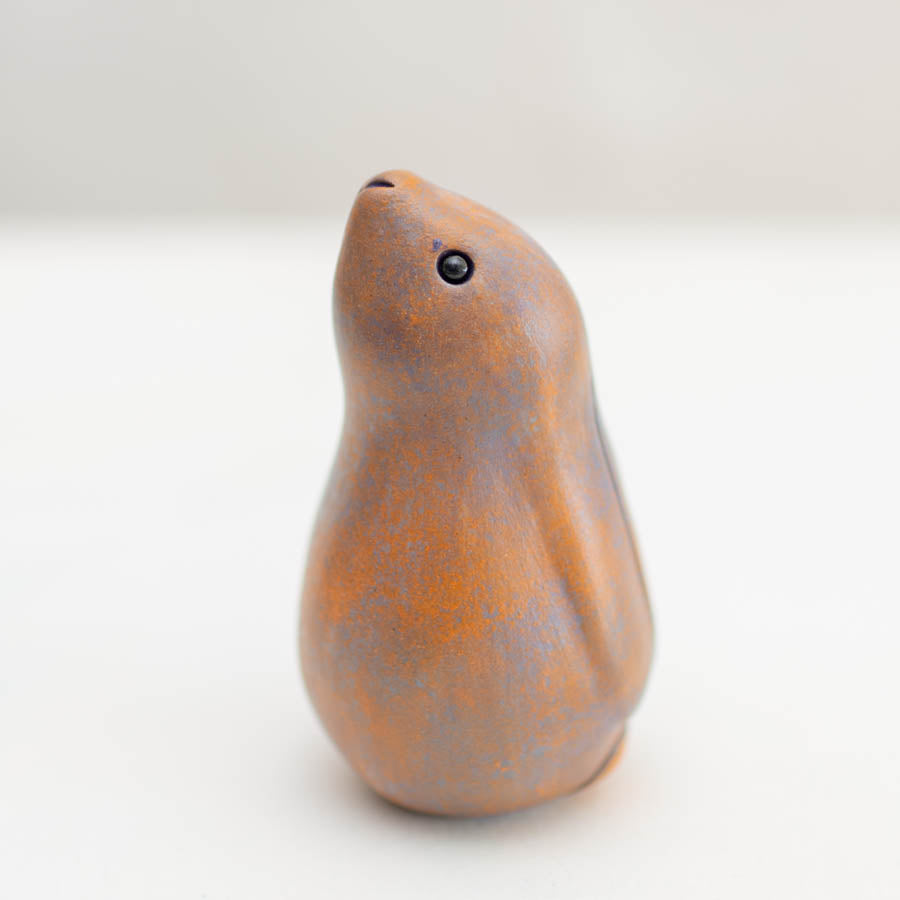 Multi coloured moongazing Hare