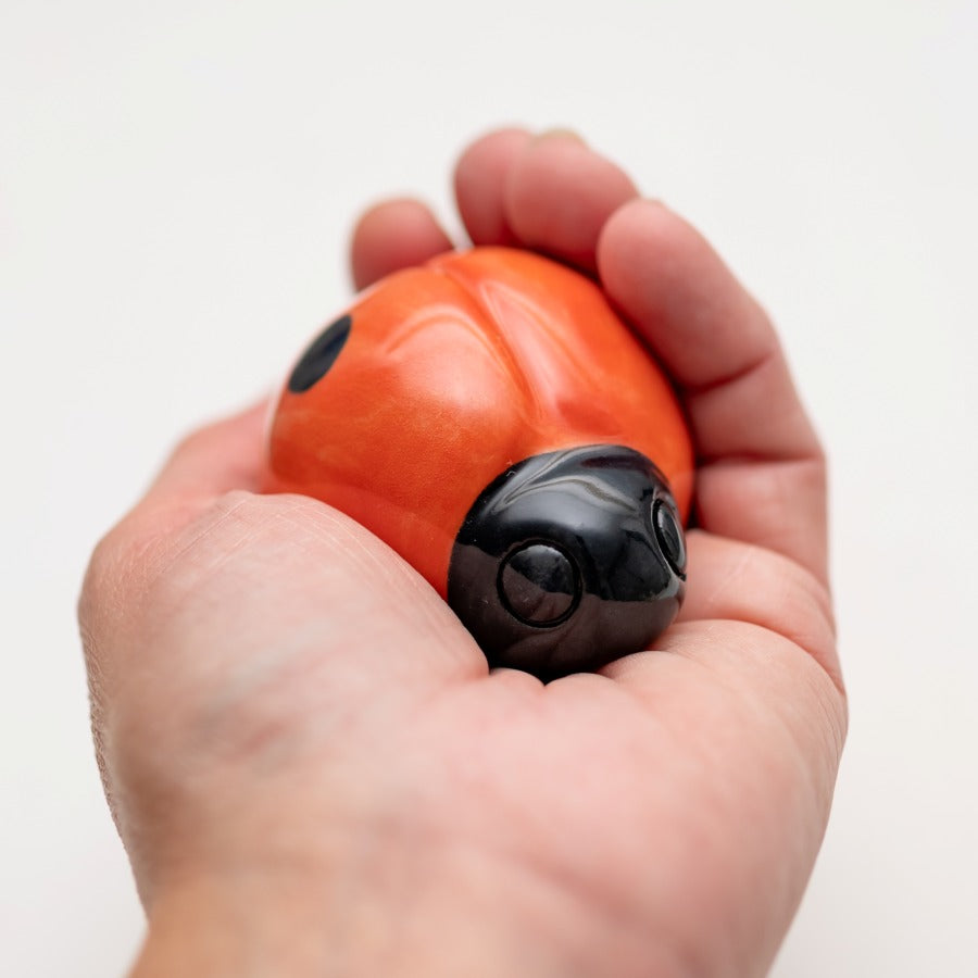 Small Ceramic Ladybird