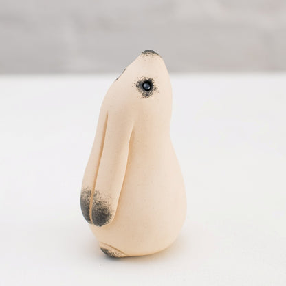 Moongazing White Hare