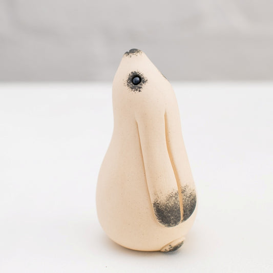 Moongazing White Hare