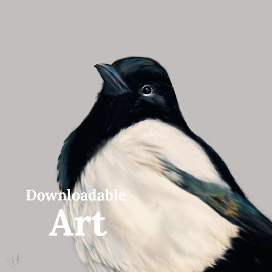 Magpie - Downloadable Art - sarahbrabbin