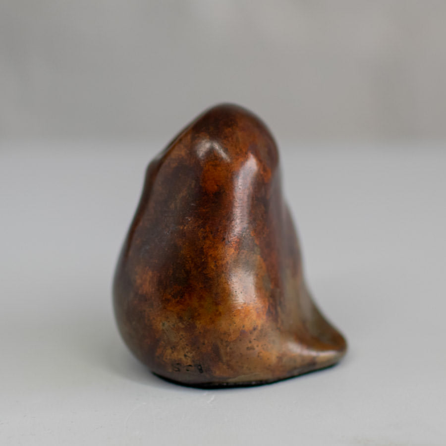 Small bronze owl - sarahbrabbin