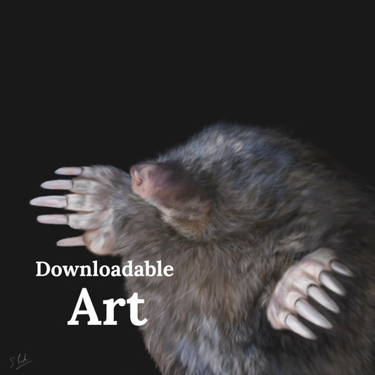 Mole - Downloadable Art - sarahbrabbin