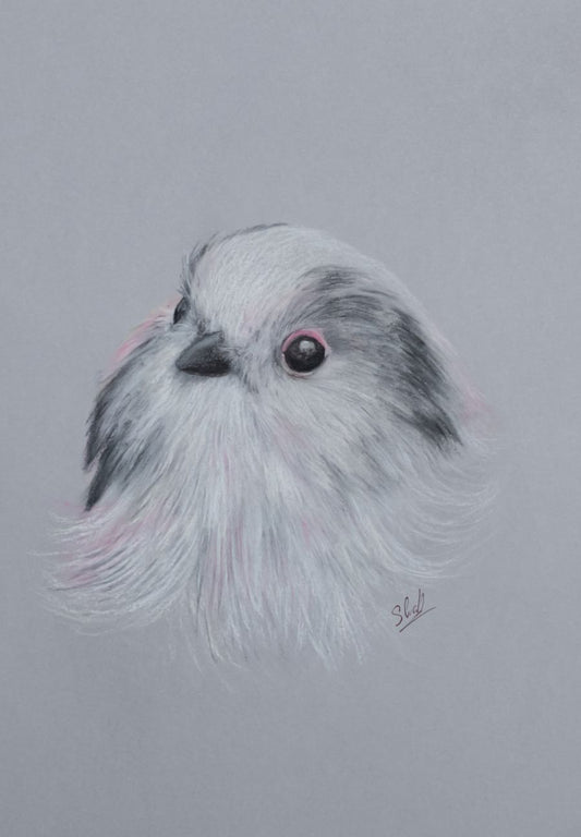 Original Wildlife Art - Charcoal Long Tailed Tit