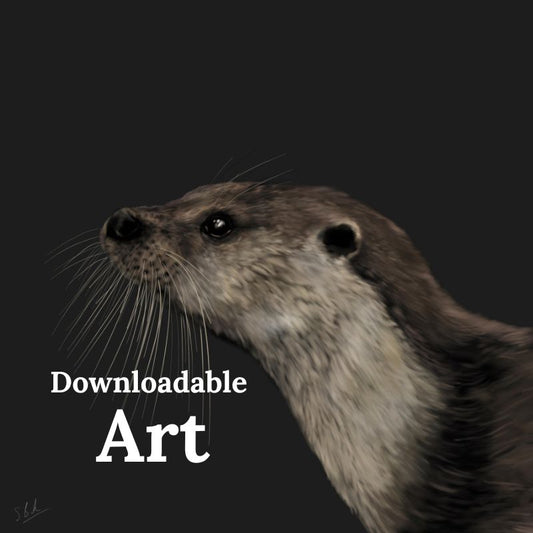 Otter - Downloadable Art - sarahbrabbin