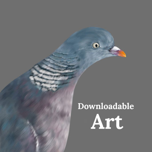 Pigeon - Downloadable Art - sarahbrabbin