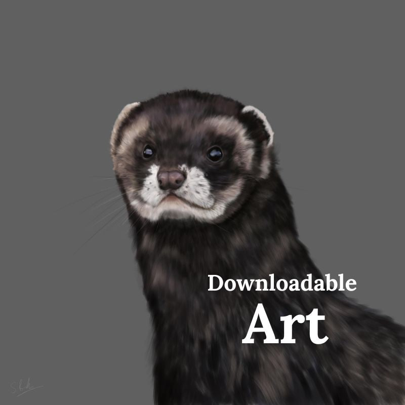Polecat - Downloadable Art - sarahbrabbin
