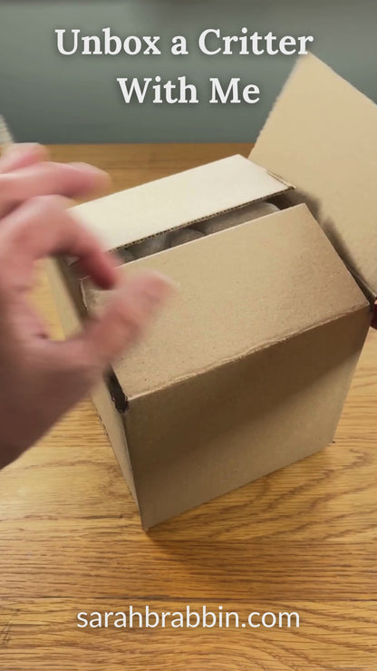 A video showing me unboxing a critter