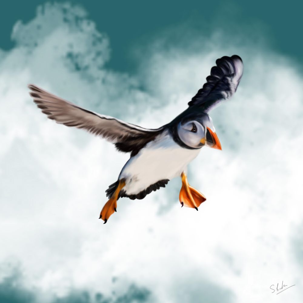 Greetings Card with a puffin flying against a cloudy sky