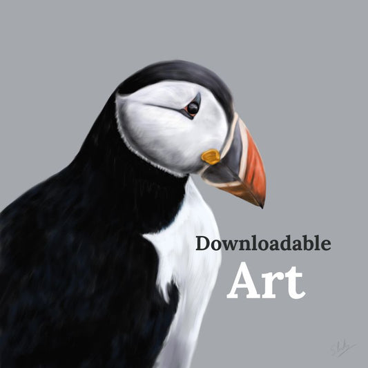 Puffin - Downloadable Art - sarahbrabbin