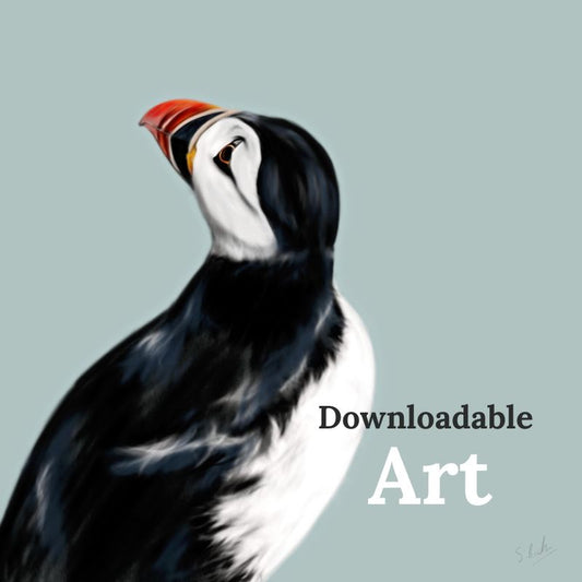 Puffin - Downloadable Art - sarahbrabbin