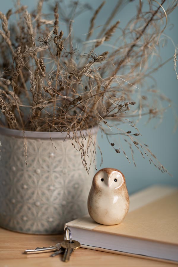 Ceramic owl figurine on a notebook with dried plants in a pot against a light blue wall with keys in the foreground