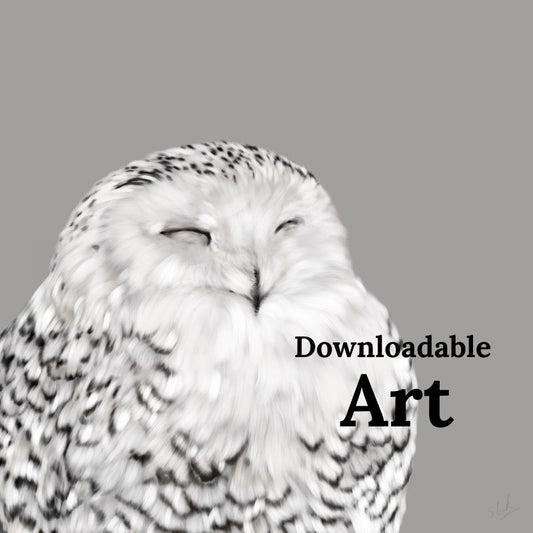 Snowy Owl - Downloadable Art - sarahbrabbin