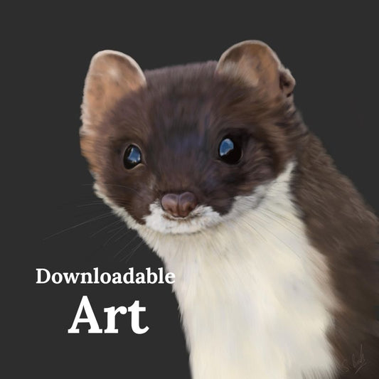 Stoat - Downloadable Art - sarahbrabbin