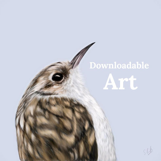 Treecreeper - Downloadable Art - sarahbrabbin
