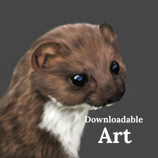 Weasel - Downloadable Art - sarahbrabbin
